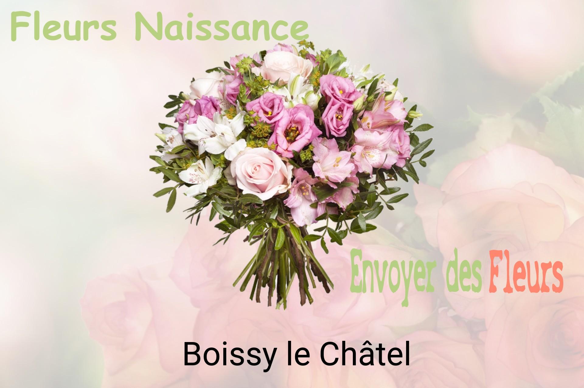 Bouquet de fleurs de naissance livré à Boissy-le-Châtel